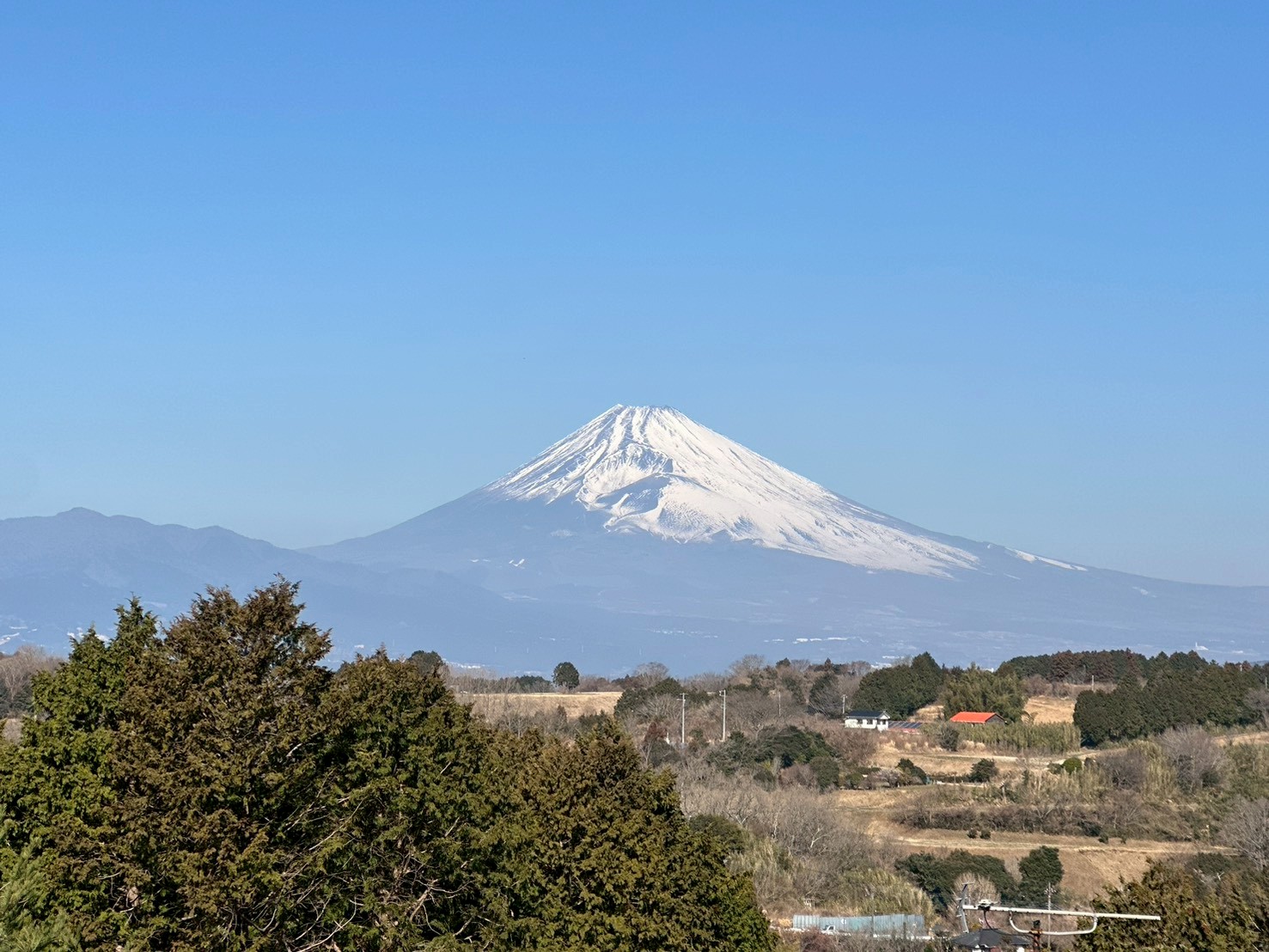 LINE_ALBUM_南箱根ダイヤランド_260224_62